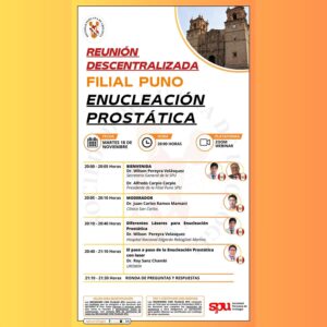 Lee más sobre el artículo REUNIÓN DESCENTRALIZADA Filial Puno