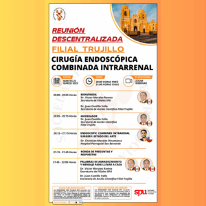 Lee más sobre el artículo REUNIÓN DESCENTRALIZADA | Filial Trujillo